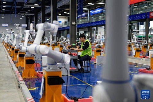 科技賦能引領高質(zhì)量發(fā)展 山東日照的技術(shù)開發(fā)新路徑